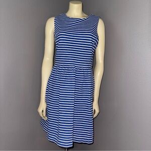 J. Crew Blue & White Daybreak Fit & Flare Dress Size L
